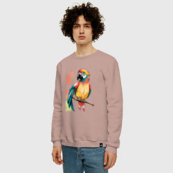 Свитшот хлопковый мужской Попугай в брызгах краски, цвет: пыльно-розовый — фото 2