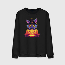 Свитшот хлопковый мужской Милый котик и тыква - Хэллоуин, цвет: черный