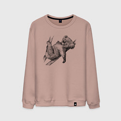 Мужской свитшот Коала отдыхает на дереве