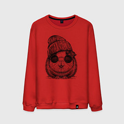Свитшот хлопковый мужской Морская свинка хипстер, цвет: красный