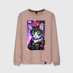 Мужской свитшот Глазастый городской котёнок