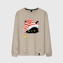 Свитшот хлопковый мужской Новогодний черный кот в новогоднем колпаке, цвет: миндальный