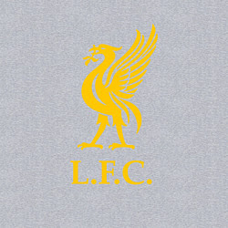 Свитшот хлопковый мужской Liverpool sport fc, цвет: меланж — фото 2