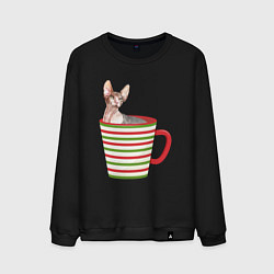 Свитшот хлопковый мужской Сфинкс в новогодней полосатой кружке, цвет: черный