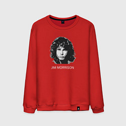 Свитшот хлопковый мужской Tribute to Jim Morrison one, цвет: красный