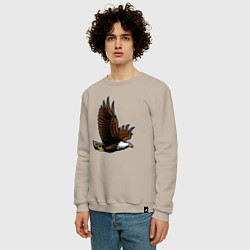 Свитшот хлопковый мужской Летящий орёл, цвет: миндальный — фото 2
