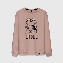 Свитшот хлопковый мужской 2024 - мемный кот, цвет: пыльно-розовый