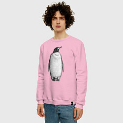 Свитшот хлопковый мужской Пингвин стоит анфас, цвет: светло-розовый — фото 2