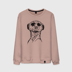 Свитшот хлопковый мужской Сурикат любопытный, цвет: пыльно-розовый