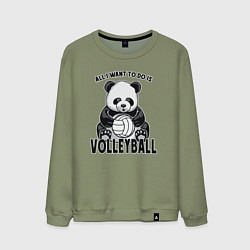 Мужской свитшот Panda volleyball