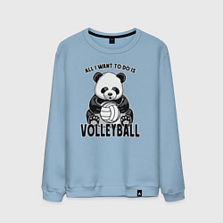Свитшот хлопковый мужской Panda volleyball, цвет: мягкое небо