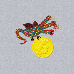 Свитшот хлопковый мужской Дракон с монетой Биткойна, цвет: меланж — фото 2