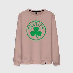 Мужской свитшот Boston Celtics clover