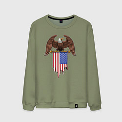 Свитшот хлопковый мужской США орёл, цвет: авокадо