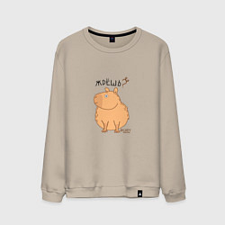 Мужской свитшот Мем капибара: жрешь