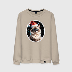 Свитшот хлопковый мужской Кот породы Рэгдолл в новогодней шапке, цвет: миндальный