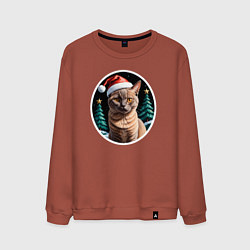 Свитшот хлопковый мужской Кот Бурманской породы в новогодней шапке, цвет: кирпичный