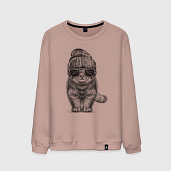 Свитшот хлопковый мужской Котенок манул хипстер, цвет: пыльно-розовый