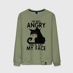 Свитшот хлопковый мужской I am not angry cat, цвет: авокадо