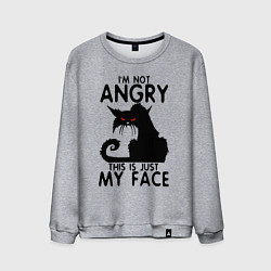 Свитшот хлопковый мужской I am not angry cat, цвет: меланж