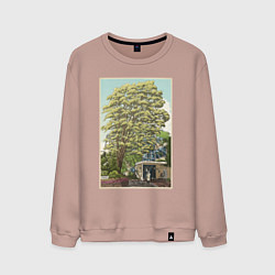 Свитшот хлопковый мужской Хаяо Миядзаки - studio ghibli, цвет: пыльно-розовый