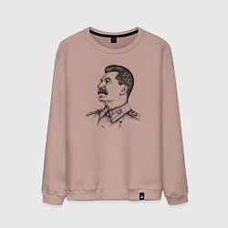 Свитшот хлопковый мужской Профиль Сталина, цвет: пыльно-розовый