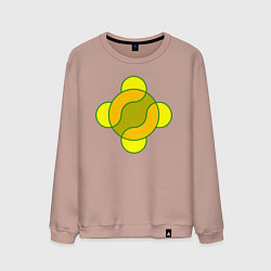 Свитшот хлопковый мужской Игра окружностей, цвет: пыльно-розовый
