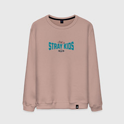 Мужской свитшот Stray Kids legendary