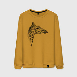 Свитшот хлопковый мужской Жираф в профиль, цвет: горчичный
