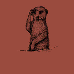 Свитшот хлопковый мужской Сурикат смотрит, цвет: кирпичный — фото 2