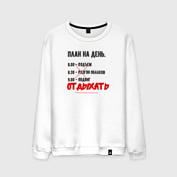 Мужской свитшот План на день