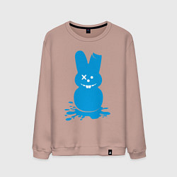 Мужской свитшот Blue bunny