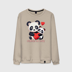 Мужской свитшот Влюбленные панды с сердцем