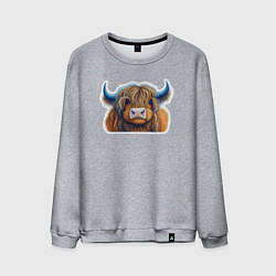Мужской свитшот Шотландский волосатый бык