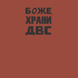 Свитшот хлопковый мужской Боже храни ДВС, цвет: кирпичный — фото 2
