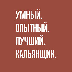 Свитшот хлопковый мужской Умный опытный лучший кальянщик, цвет: кирпичный — фото 2