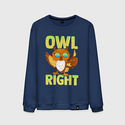 Свитшот хлопковый мужской Owl right - каламбур отлично, цвет: тёмно-синий