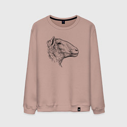 Свитшот хлопковый мужской Овца в профиль, цвет: пыльно-розовый