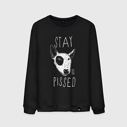 Свитшот хлопковый мужской Stay dog pissed, цвет: черный