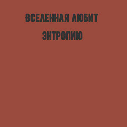 Свитшот хлопковый мужской Вселенная любит энтропию, цвет: кирпичный — фото 2