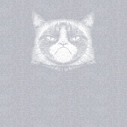 Свитшот хлопковый мужской Мем Grumpy cat, цвет: меланж — фото 2