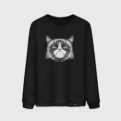 Мужской свитшот Мем Grumpy cat