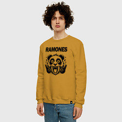 Свитшот хлопковый мужской Ramones - rock panda, цвет: горчичный — фото 2