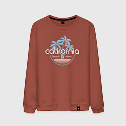 Свитшот хлопковый мужской California beach, цвет: кирпичный