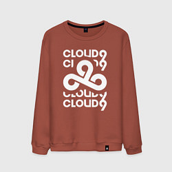Свитшот хлопковый мужской Cloud9 - in logo, цвет: кирпичный