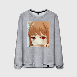 Свитшот хлопковый мужской Волчица и пряности Холо, цвет: меланж