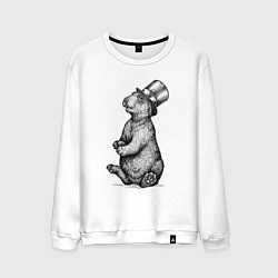 Свитшот хлопковый мужской Заяц в цилиндре, цвет: белый