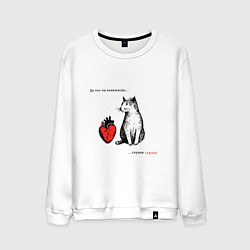 Свитшот хлопковый мужской Кот и сердце с надписью - что ты понимаешь, цвет: белый