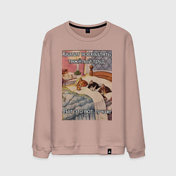 Свитшот хлопковый мужской Спящие котики и труд мем, цвет: пыльно-розовый