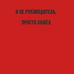 Свитшот хлопковый мужской Я не руководитель просто зашёл, цвет: красный — фото 2